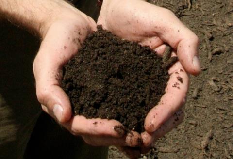 The role of soil in agriculture is under scrutiny