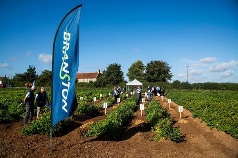Growers visited the trial field this week