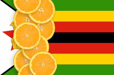 Zimbabwean citrus exports approved from 1 July