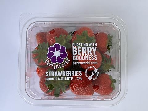 BerryWorld-NZ-Punnet