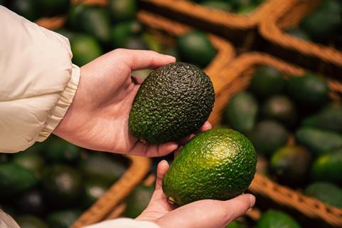 Avocados in hand Adobe