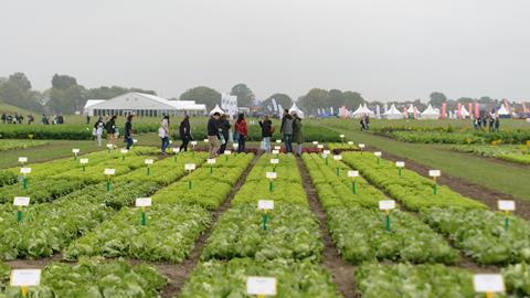 BOD25-Pers beelden9