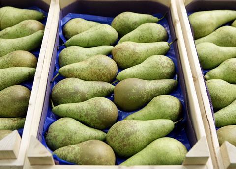 NL_Obst_02.jpg