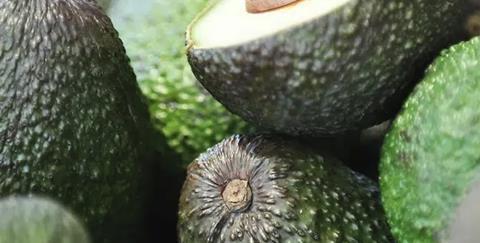 Colombian avos