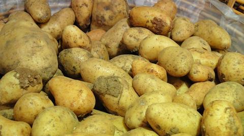 Sommerhitze sorgt für deutschlandweite Kartoffelknappheit