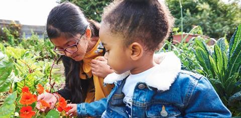 Tesco is giving fruit trees and strawberry plants to schools