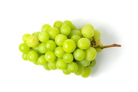 Trauben