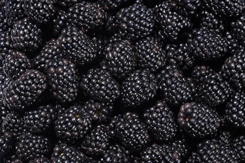 Plant Sciences Genetics blackberries