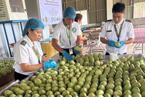 Guimaras mangoes
