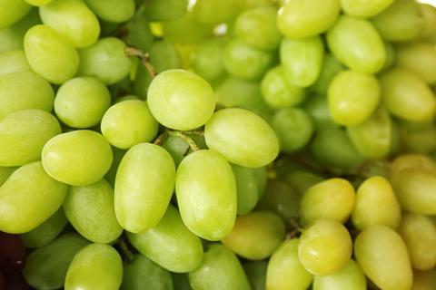 Generic green grapes cloesup