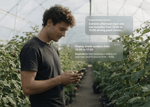 NZ WayBeyond Agronomy Intelligence