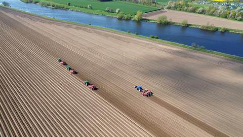 Greenvale is a major potato supplier to processing, retail and wholesale