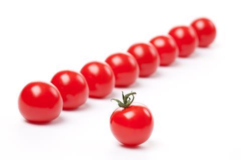 Tomatenreihe-Jiri Hera_AdobeStock_23059351