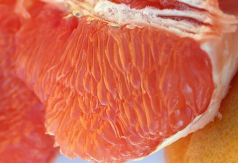 Südafrika: Grapefruit-Mengen weiterhin rückläufig