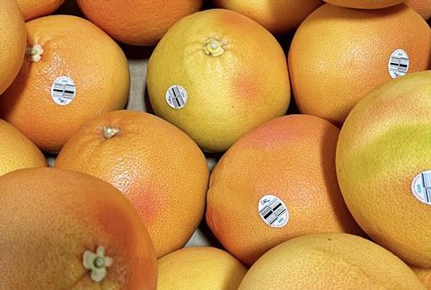 LGS South Africa Star Ruby grapefruit