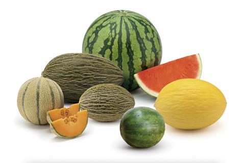 Hazera HM Clause melons watermelons