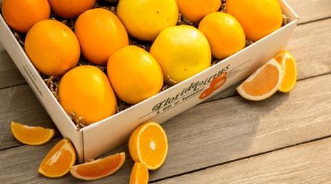 Florida Department of Citrus