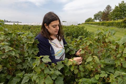 Amanda Moura of the James Hutton Institute