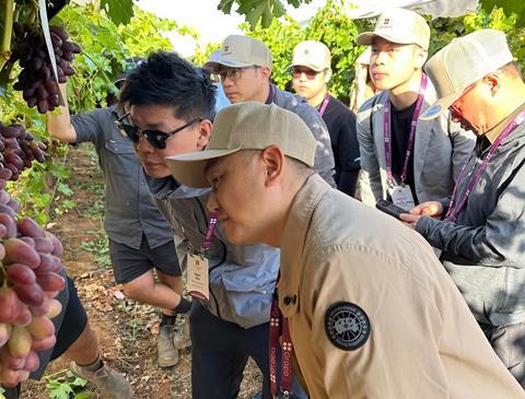 Grapa Global hosts Asian visitors for its Australian Arra Fire Crunch field day