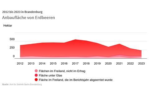 Erdbeeranbau 2012 bis 2023 in Brandenburg