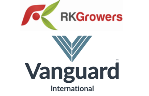 RK - Vanguard