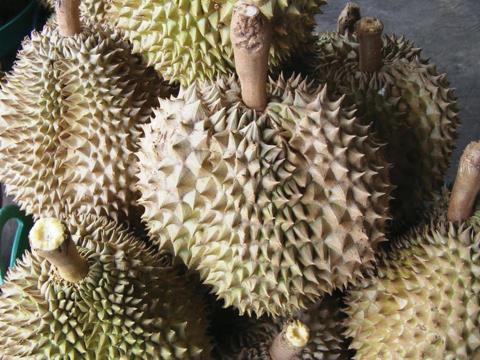 Thai durian