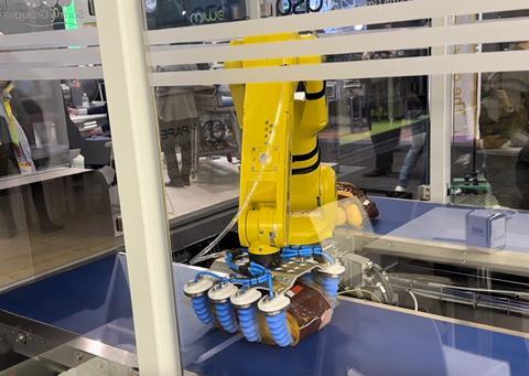Sorma box-filling robot FL 2024