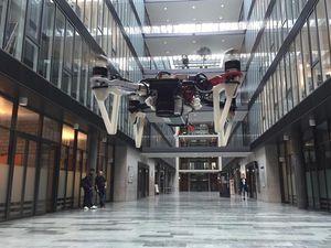 Foto: uzh.ch