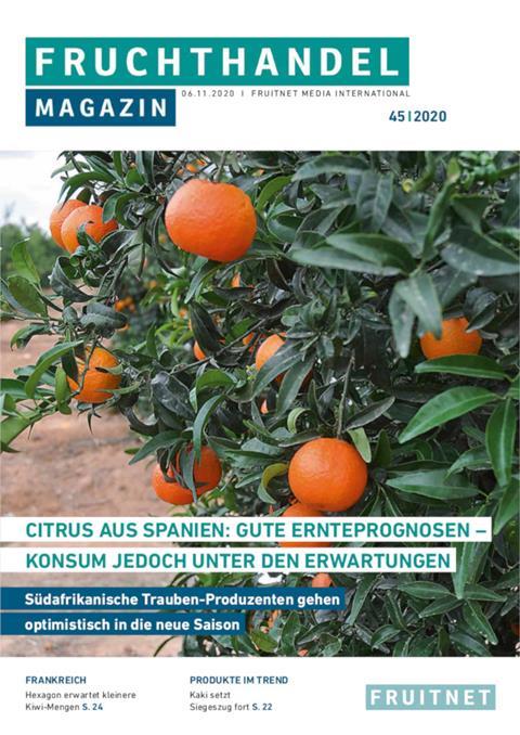 Diese Woche im Fruchthandel Magazin: Citrus aus Spanien, Kakis und Kiwis aus Frankreich