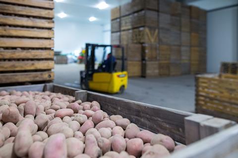 Crates of potatoes storage Adobe Stock