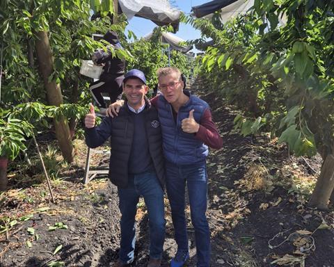 CMR Chilean cherries