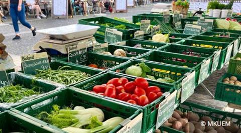 Gemüsestand auf dem Mainzer Wochenmarkt - MKUEM