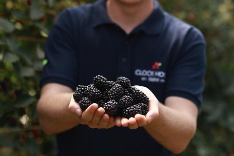 This year's crop could be the sweetest on record, according to British growers