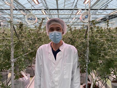 Northern Leaf's greenhouse is currently producing at 75 per cent capacity