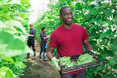 Generic farmer with green beans