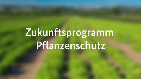 zukunftsprogramm-pflanzenschutz-