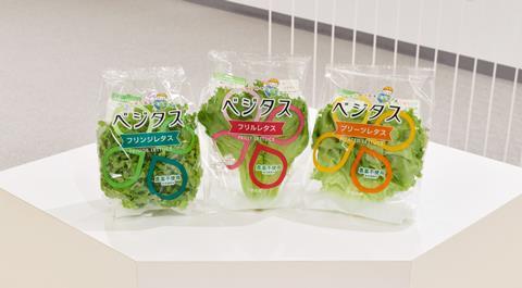 Spread's vertically farmed vegetable brand Vegetus