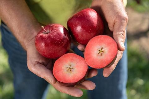 Kissabel® Rouge: Produktion unter guten Vorzeichen