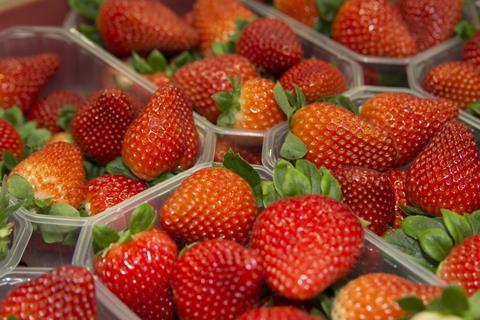 Strawberries from Huelva