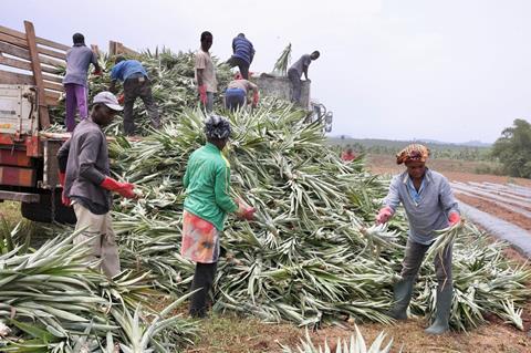 Certain African countries have seen significant growth in fresh produce exports in recent years
