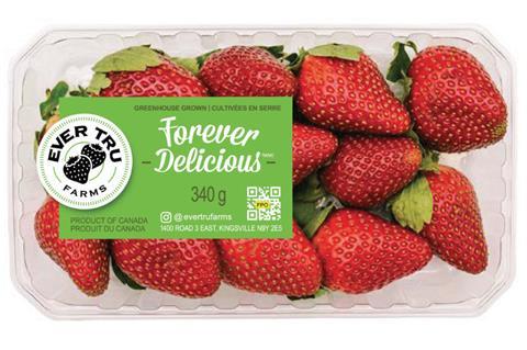 CA Ever Tru Farms strawberries