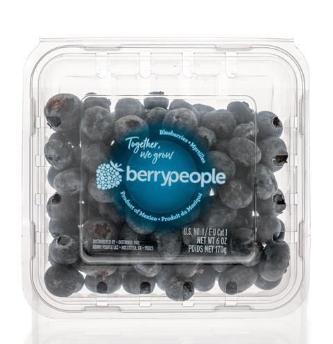 Mexico Berry People blueberries