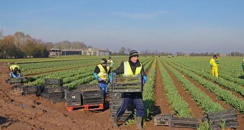 A shortage of seasonal workers is leaving British fruit and veg unpicked, says the Guardian