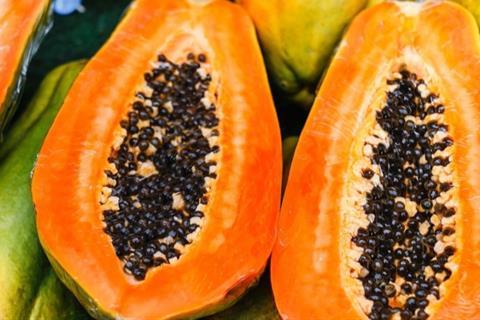 Papaya is proving an unexpected hit