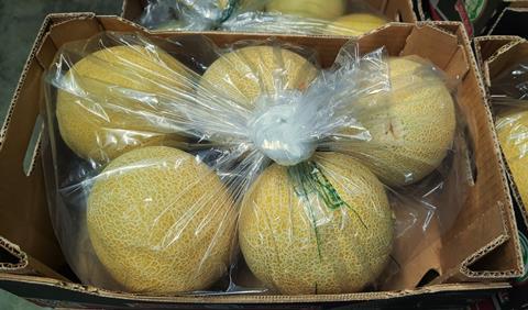 Melons shipped using StePac's Xtend