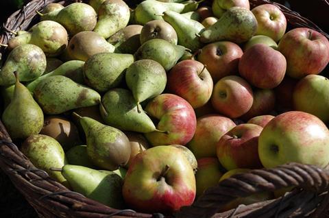 apples-4174409_1920