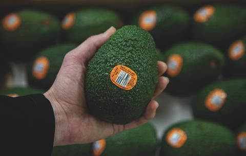 Darling Avocado