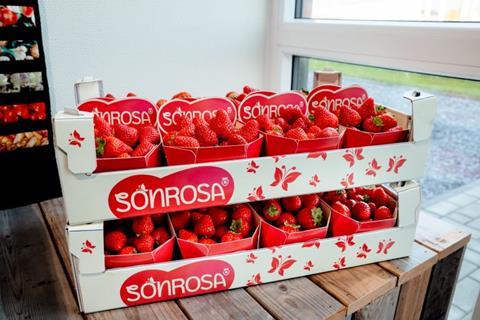 20241202_1535_FruitMasters_Sonrosa_7761_AJ-768x512