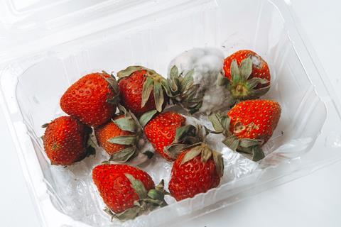 Mouldy strawberries AdobeStock_935836774