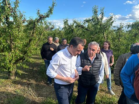 Schäden bei Obstkulturen in Katalonien